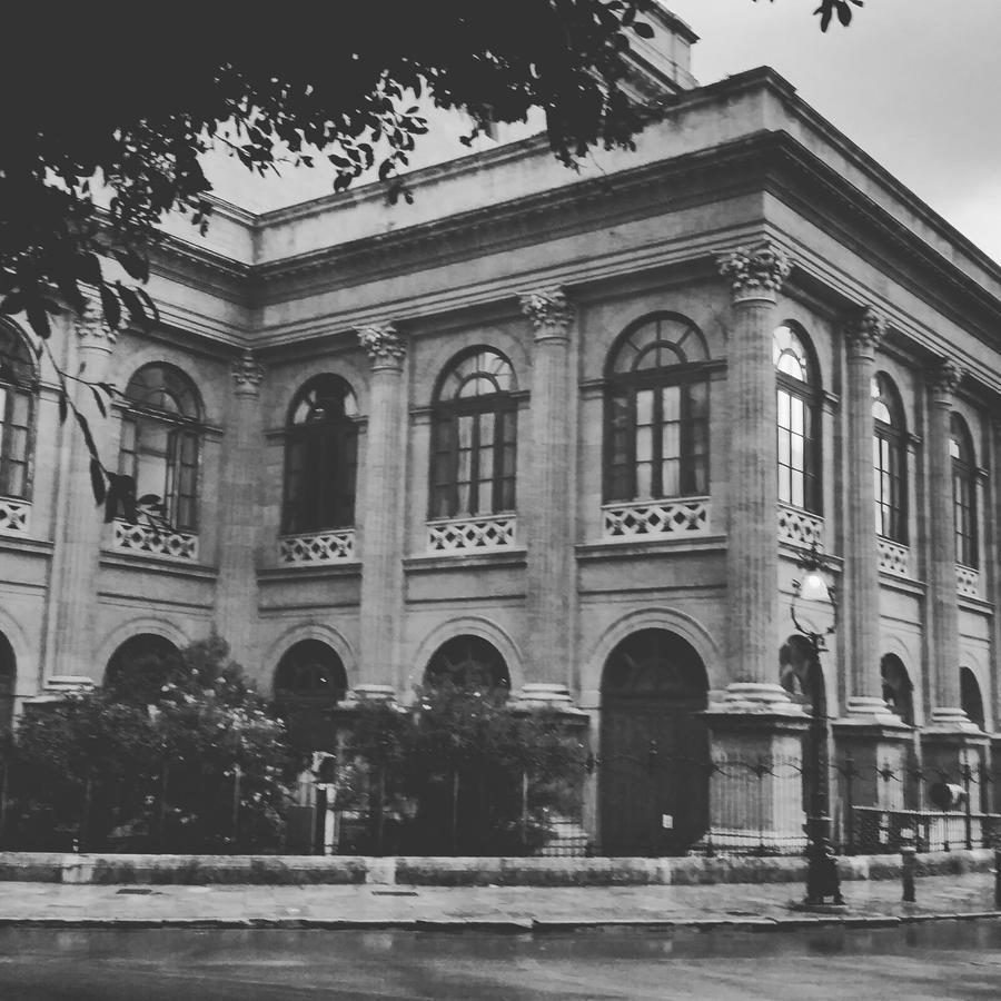 Al Massimo 36 Bed & Breakfast Palermo Exterior photo